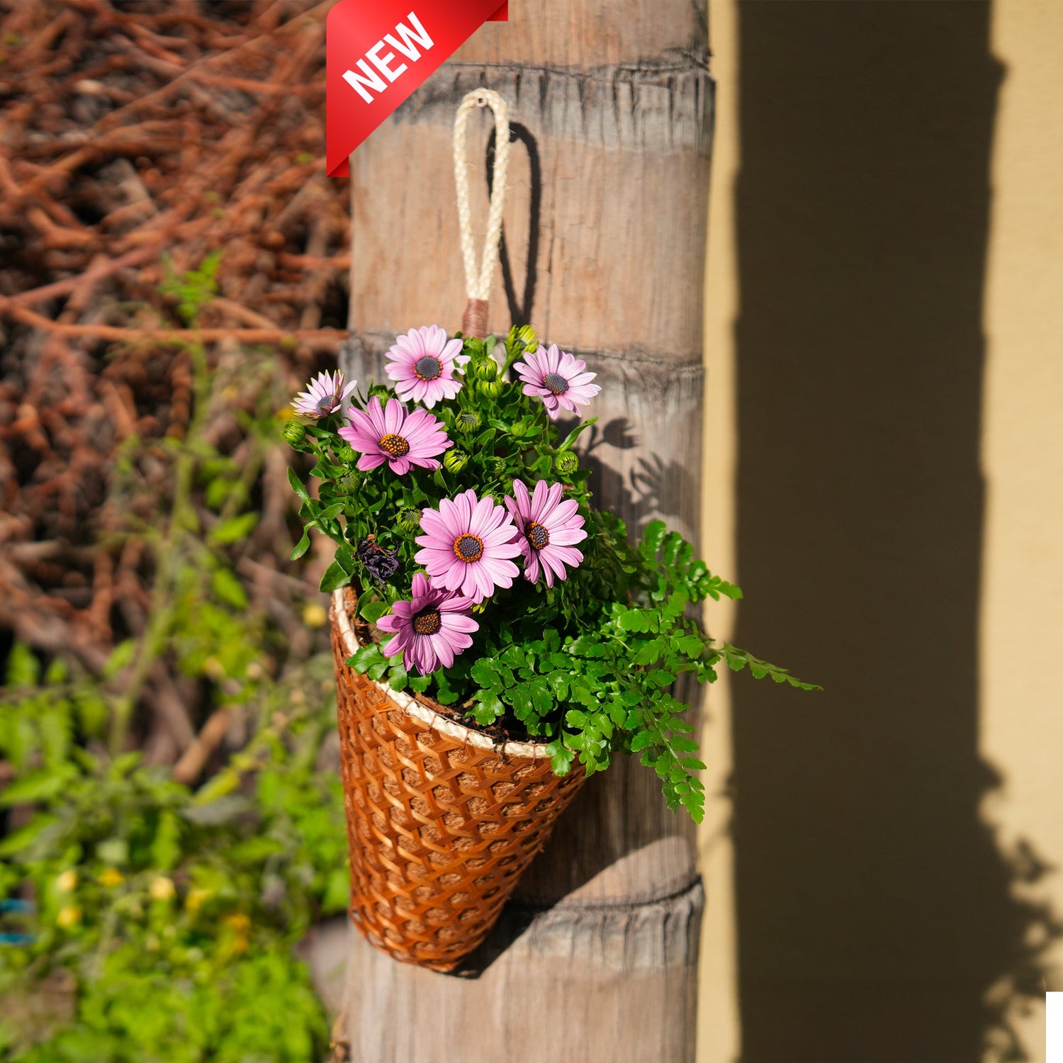 Coconut Coir Cornucopia Hanging Basket