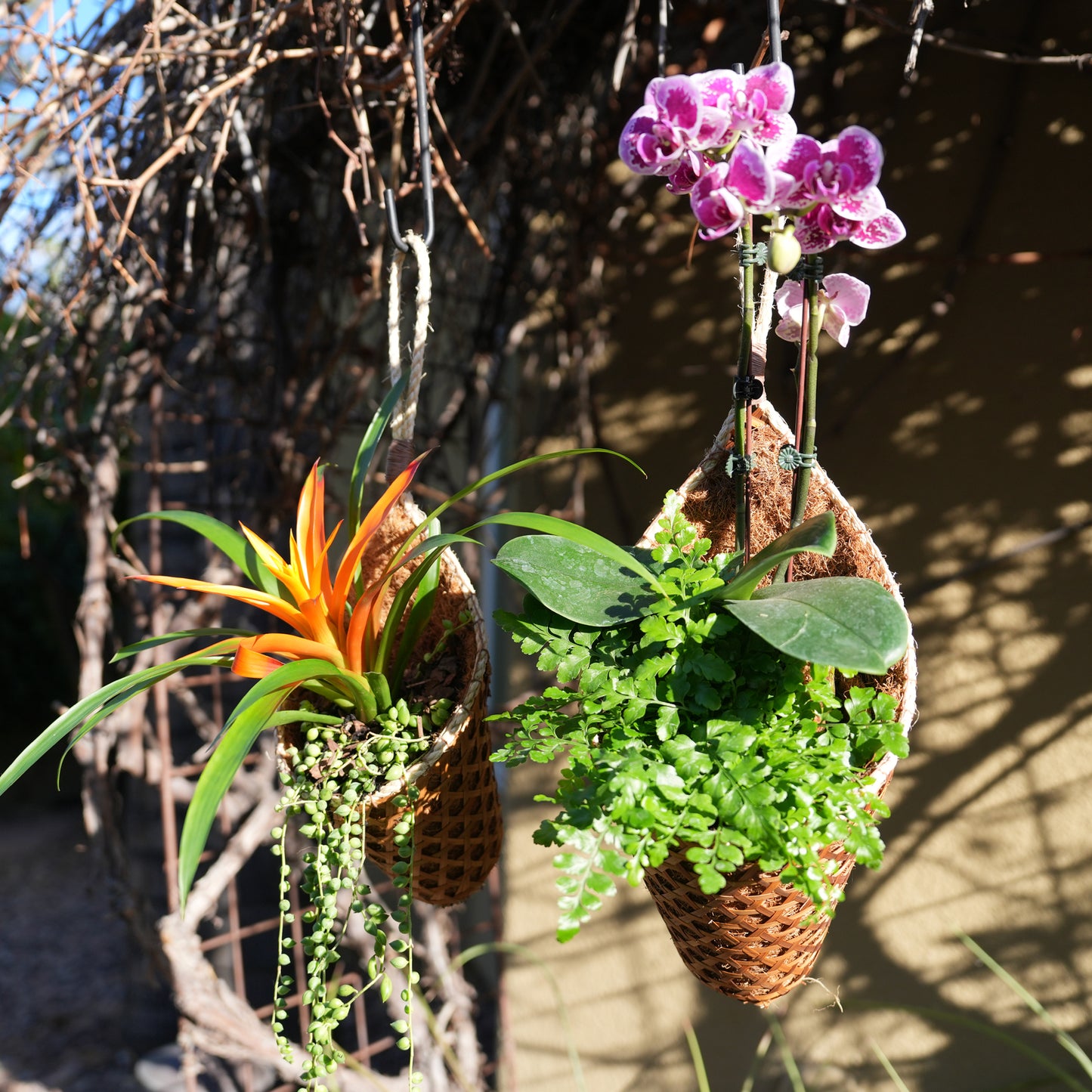 PANWA Handmade 100% Thai Bamboo Hanging Basket Coconut Coir Cornucopia (4 Inch & 6 Inch Duo Pack)