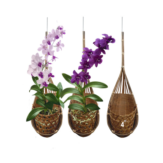 Handmade 100% Thai Bamboo Hanging Orchid Basket – 4 Inch Set of 3