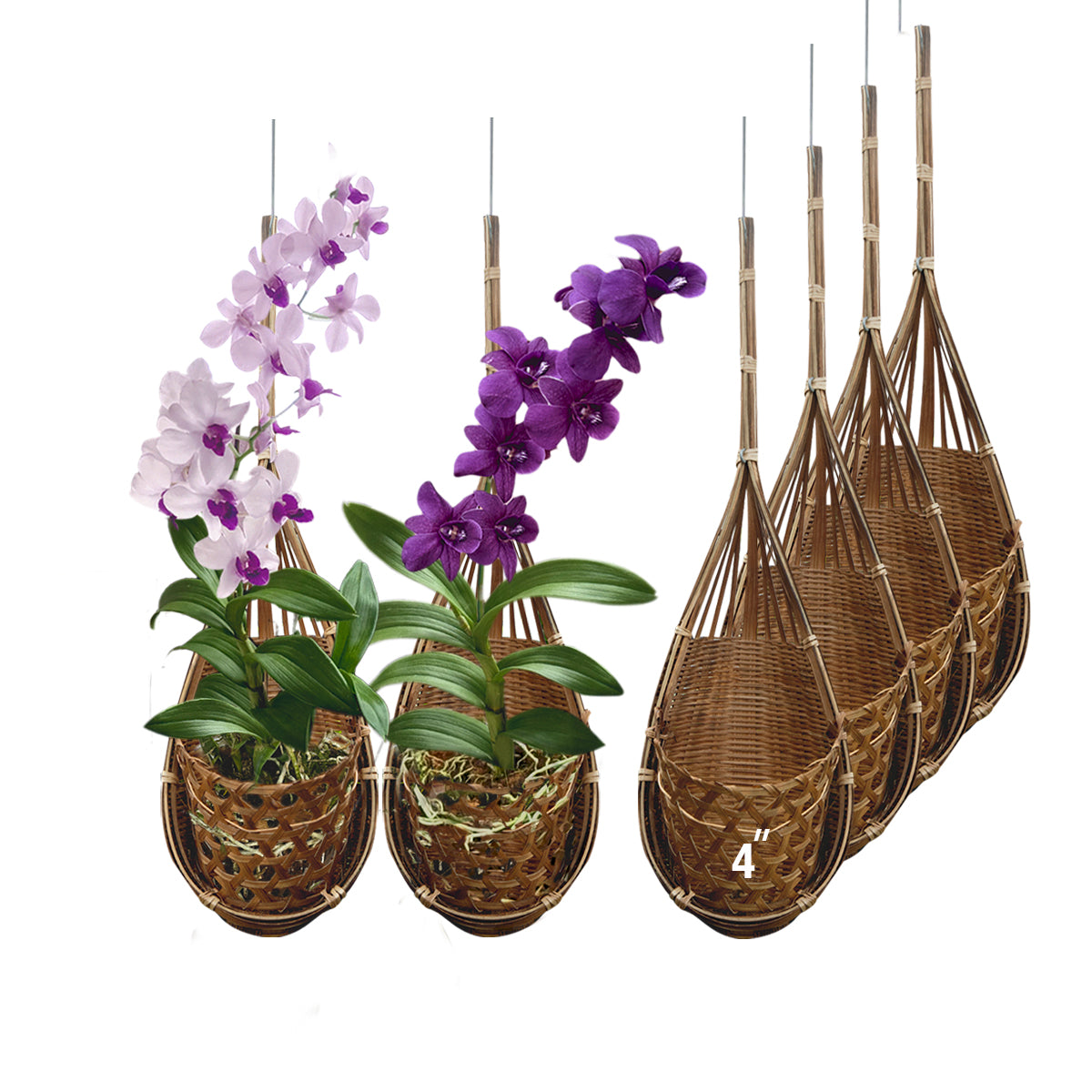 PANWA Handmade 100% Thai Bamboo Hanging Orchid Basket for Orchids, Vines, Air Plants, Indoor & Outdoor Garden Décor 4 Inch Set of 6